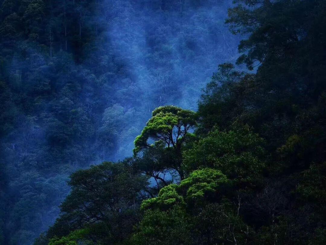 火拼萌萌消