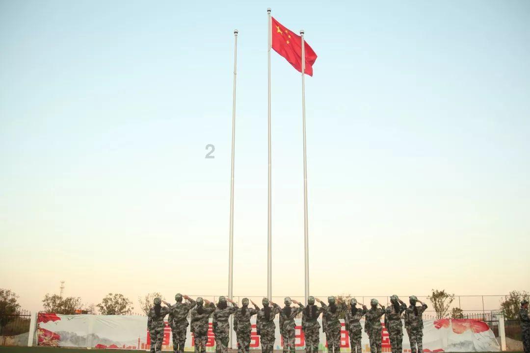 寻找火鸡